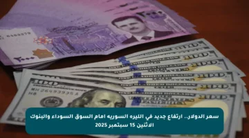 سعر الدولار.. ارتفاع جديد في الليرة السورية أمام السوق السوداء والبنوك الاثنين 15 سبتمبر 2025